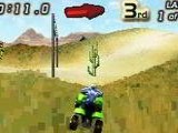Quad Desert Fury