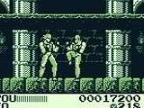 Fighting Simulator 2 in 1