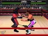 WWF - War Zone
