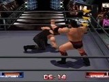 WCW-nWo Revenge