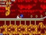 Sonic 2 The Hybridization Project