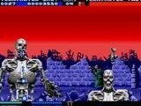 Terminator 2 -  The Arcade Game