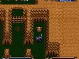 Brandish