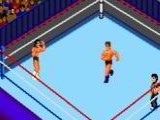 Fire Pro Wrestling - Combination Tag