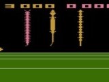 Bugs