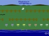 Rabbit Transit