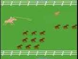 Stampede
