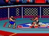 Ultimate Fighting Championship