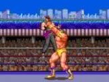 Ultimate Fighter