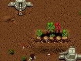 Battle Field