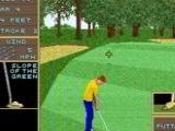 Golden Tee Golf