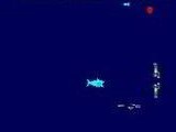 Shark Attack