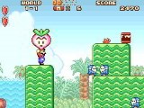 Super Mario Advance